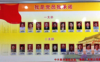 英国威廉希尔公司集团党委开展党员承诺活动