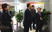 大渡口区统战部部长王涛来英国威廉希尔公司集团调研